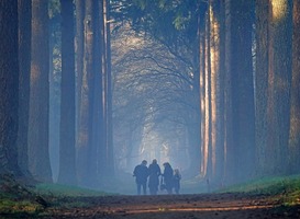 Normal_veluwe__mensen__bos__toerisme