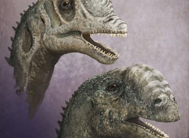 Mark Witton, Europasaurus holgeri (2017) - beeld via persbericht Teylers, behorend bij tentoonstelling 'Dinomakers' Mark Witton, Europasaurus holgeri (2017) - beeld via persbericht Teylers, behorend bij tentoonstelling 'Dinomakers'
