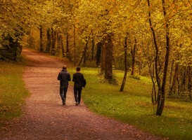 Normal_wandelen__bos__bomen__pad__gras