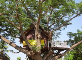 Normal_boomhut