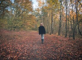 Normal_wandelen__meisje__bladeren__bomen__zon