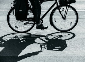 Fietsexcursie Fietsexcursie