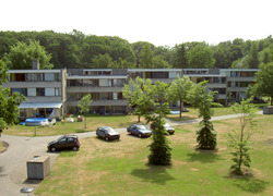 Normal_1308