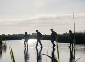 Amsterdam Wetlands (Foto: Marco van de Burgwal - Staatsbosbeheer - https://beeldbank.staatsbosbeheer.nl/search.pp?showpicture=7593&page=1&pos=11&title=Instameet-bijeenkomst-Guisveld&title=Instameet-bijeenkomst-Guisveld&title=Instameet-bijeenkomst-Guisveld Amsterdam Wetlands (Foto: Marco van de Burgwal - Staatsbosbeheer - https://beeldbank.staatsbosbeheer.nl/search.pp?showpicture=7593&page=1&pos=11&title=Instameet-bijeenkomst-Guisveld&title=Instameet-bijeenkomst-Guisveld&title=Instameet-bijeenkomst-Guisveld