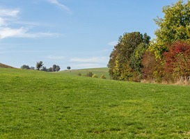 Sibelcogroeve Sibelcogroeve