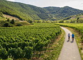 Rheinland Pfalz Ahrtal (foto; Dominik Ket - via persbericht Fiets en Wandelbeurs) Rheinland Pfalz Ahrtal (foto; Dominik Ket - via persbericht Fiets en Wandelbeurs)