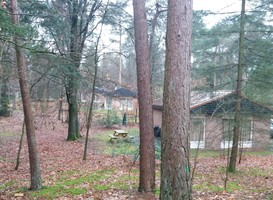 Normal_vakantiehuisjes_center_parcs__veluwe_