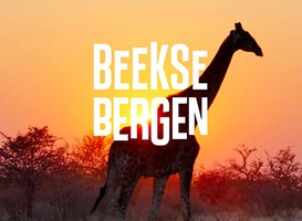 SafariPark Beekse Bergen corona SafariPark Beekse Bergen corona