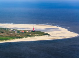 Texel coronavirus Texel coronavirus