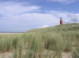 Waddeneilanden corona Waddeneilanden corona