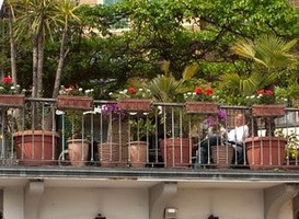 Normal_balkon__groene_oase__stadsbalkon
