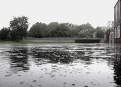 Normal_1652
