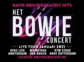 Het BOWIE concert Het BOWIE concert