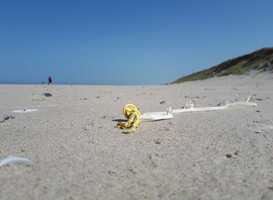 Normal_ballonrest_op_het_strand