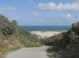 Normal_zeeland__strand__duinen__zee__wolken__zand__pad