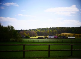 Normal_achterhoek