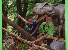 T-rex DierenPark Amersfoort T-rex DierenPark Amersfoort
