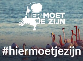 Normal_hiermoetjezijn__bijgesneden_