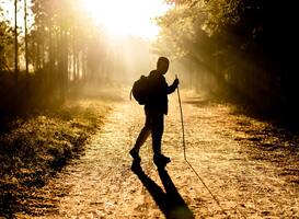 Wandelroute van het Jaar 2021 Wandelroute van het Jaar 2021