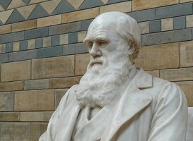 Koning opent tentoonstelling ‘Van onschatbare waarde - 200 jaar Naturalis’ Koning opent tentoonstelling ‘Van onschatbare waarde - 200 jaar Naturalis’