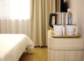 'Hotelbranche kan pas herstellen van crisis als coronavaccin er is' 'Hotelbranche kan pas herstellen van crisis als coronavaccin er is'