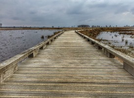 Dwingelderveld is het ‘Stilste gebied van Nederland’ Dwingelderveld is het ‘Stilste gebied van Nederland’