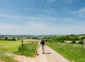 Rijke oogst: longlist ‘Wandelroute van het Jaar 2021’ telt 17 kanshebbers Rijke oogst: longlist ‘Wandelroute van het Jaar 2021’ telt 17 kanshebbers