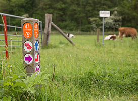 Wandelnetwerk Amstelland (beeld via provincie Noord-Holland) Wandelnetwerk Amstelland (beeld via provincie Noord-Holland)