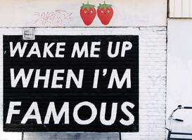 Normal_wake_me_up_when_i_m_famous__muurschildering_in_amsterdam_