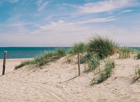 Normal_wadden__texel__duinen__zand__zon__zee__strand