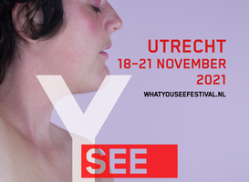 Normal_what_you_seee_festival__promotiebeeld_-_bijgesneden_