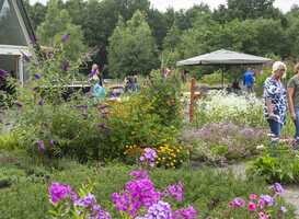 Normal_namo89596_vlindertuin_andries_de_la_lande_cremer_0