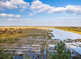 Normal_fochteloerveen_copyright_natuurmonumenten_-_roelof_bos