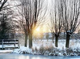 Normal_photo-1613167631021-f83c1258c4f9
