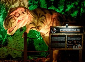 Normal_world_of_dinos