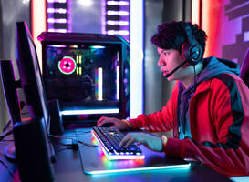 Walibi Holland mikt op grootste game-event van Benelux Walibi Holland mikt op grootste game-event van Benelux