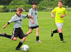 Sportclubs zien hun inkomsten dalen tijdens coronapandemie Sportclubs zien hun inkomsten dalen tijdens coronapandemie