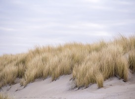 Unknown Architects presenteert Duinhuis op Terschelling Unknown Architects presenteert Duinhuis op Terschelling