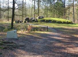 Beeld: Staatsbosbeheer Beeld: Staatsbosbeheer