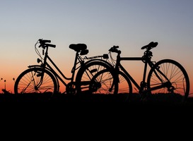 Elektrische fietsen veroveren de rijwielmarkt Elektrische fietsen veroveren de rijwielmarkt