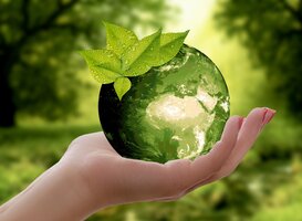 Burgers en ondernemers komen met groene initiatieven Burgers en ondernemers komen met groene initiatieven