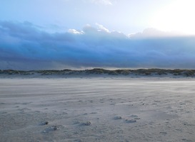 Wandelaars kunnen weer genieten van deze unieke grijze duinen Wandelaars kunnen weer genieten van deze unieke grijze duinen