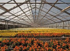 Noord-Hollandse boeren zijn enthousiaste partners voor verduurzaming Noord-Hollandse boeren zijn enthousiaste partners voor verduurzaming