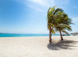 Bonaire is dit jaar dé plek voor evenementen en festivals Bonaire is dit jaar dé plek voor evenementen en festivals