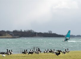 Zuid-Holland maakt ruimte voor bootjes, fietsen en kano's Zuid-Holland maakt ruimte voor bootjes, fietsen en kano's