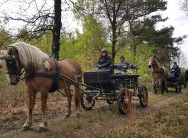 Kom dit weekend naar de Wollig Landleven Lentefair in Vollenhove Kom dit weekend naar de Wollig Landleven Lentefair in Vollenhove