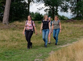 Hondsrugpad wint beste wandelroute van 2022 Hondsrugpad wint beste wandelroute van 2022