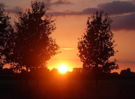 Normal_summer-1649188_960_720