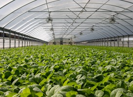 Floriade 2022 start morgen in Almere Floriade 2022 start morgen in Almere