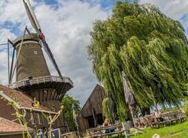 Een dag vol lokale specialiteiten tijdens het 300-jarige jubileum van deze molen Een dag vol lokale specialiteiten tijdens het 300-jarige jubileum van deze molen